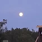 Kojan Διαμέρισμα Jílovice