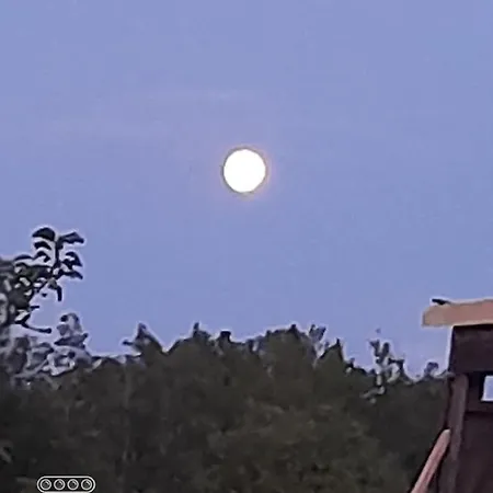 Kojan شقة Jílovice